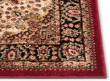 Medallion Oriental Persian Area Rug Red